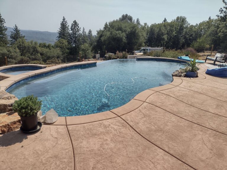freeform pool with beautiful view